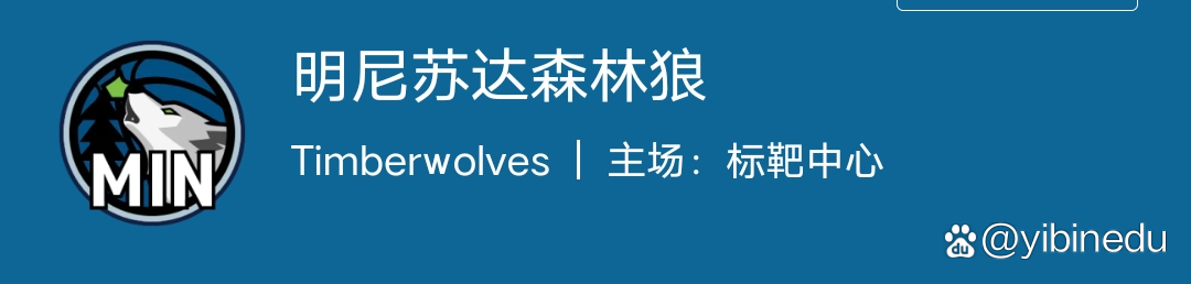 关于人击败森林狼，稳坐榜首宝座的信息