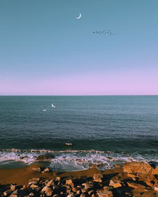 瑞士逼平保加利亚，平分秋色  第2张