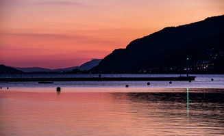 瑞士逼平保加利亚，平分秋色  第4张